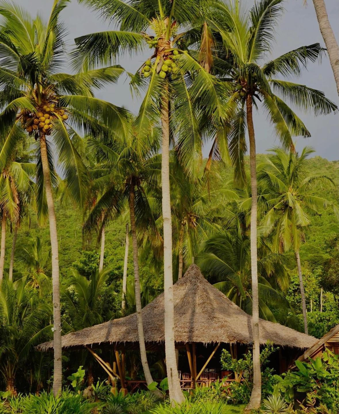 Lodge Eco Sanctuaries Nature Nacpan Beach, *
